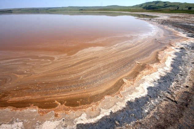 «Агатовидная» структура прибрежной зоны озера Соленое (Александровский район, Ставропольского края) (фото из доклада Ю.А. Федорова)
