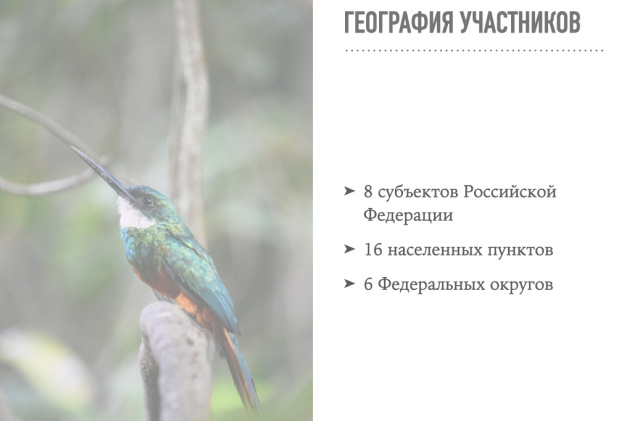 география участников география участников