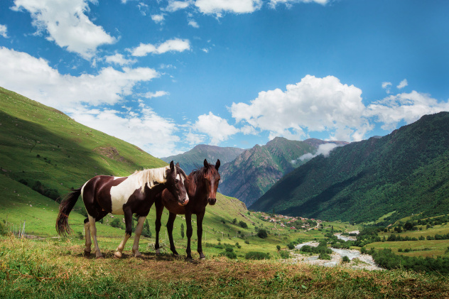 Виктория Кузнецова