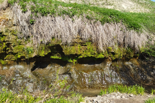 Источник "Стена плача" Источник "Стена плача"