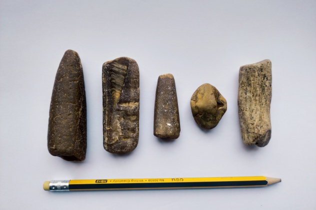 МЦ РГО Кировской области МЦ РГО Кировской области