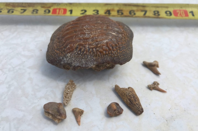 Алексей Водорезов Алексей Водорезов