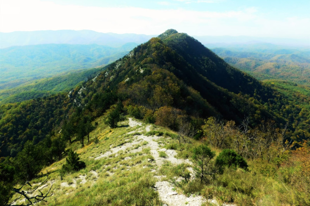 Гора Папай Гора Папай