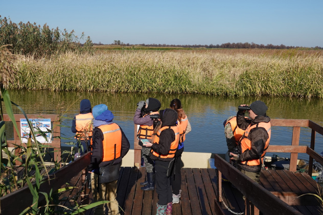 Лебедь и Орлан