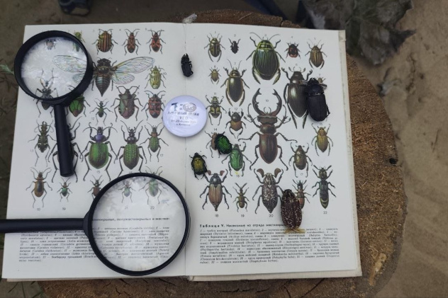 Михаил Данилов Михаил Данилов