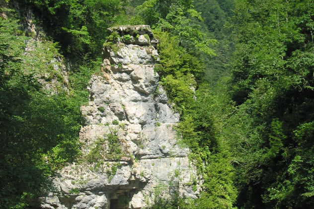 Вера Блажко, активистка Молодежного клуба Апшеронского районного отделения КРО РГО «ЭКОСфера» Вера Блажко, активистка Молодежного клуба Апшеронского районного отделения КРО РГО «ЭКОСфера»