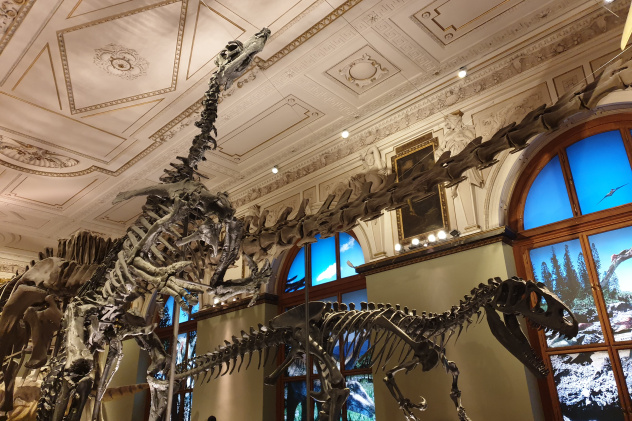 Австрия Австрия