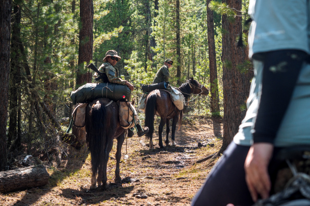 Экспедиция "Сохраняй Алтай" Экспедиция "Сохраняй Алтай"
