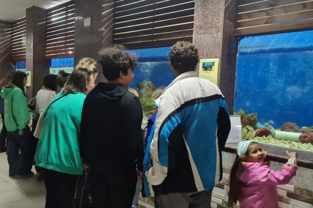 Музей Хамеда Гохара Музей Хамеда Гохара