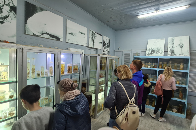 Музей Хамеда Гохара Музей Хамеда Гохара