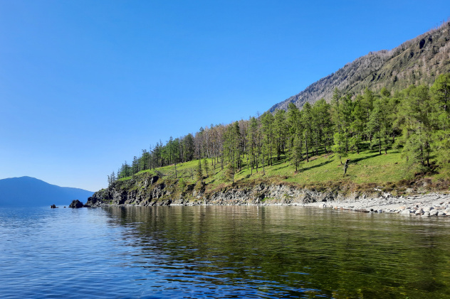 Кордон Челюш Кордон Челюш