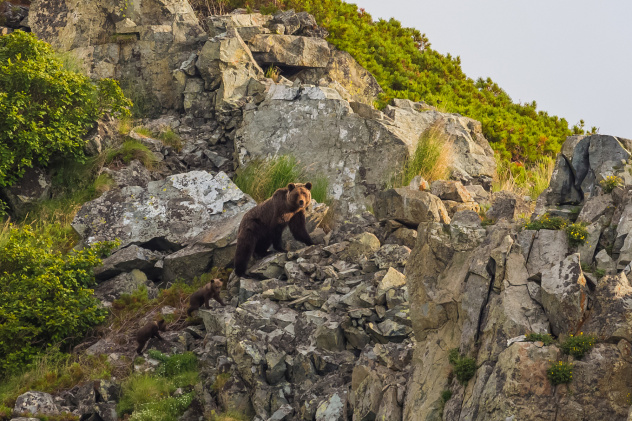 Магаданская область Магаданская область