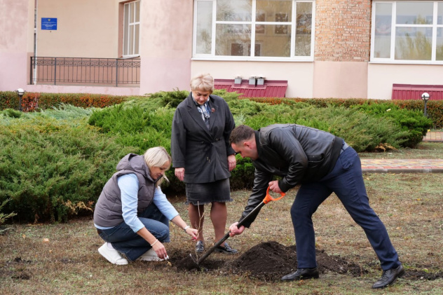 Реализация проекта "Семейный лес" Реализация проекта "Семейный лес"