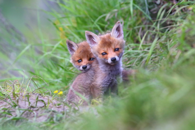 Вадим Трунов, участник фотоконкурса РГО "Самая красивая страна"