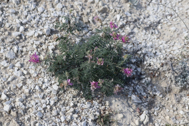 Дмитрий Владимиров Дмитрий Владимиров