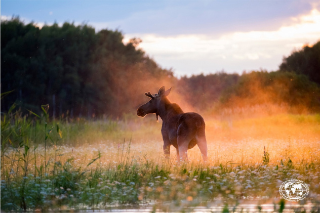 Валерий Шишенков Валерий Шишенков