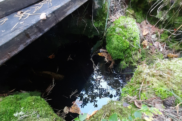 Родник у Чертова бугра