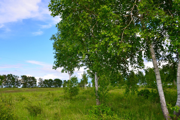 Александр Грабор, участник фотоконкурса РГО "Самая красивая страна"