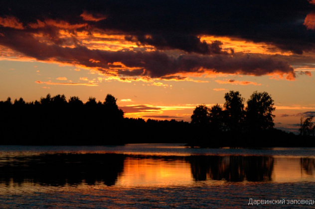 Дарвинский заповедник Дарвинский заповедник