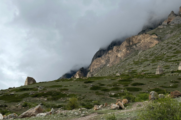 Екатерина Петлюкова Екатерина Петлюкова