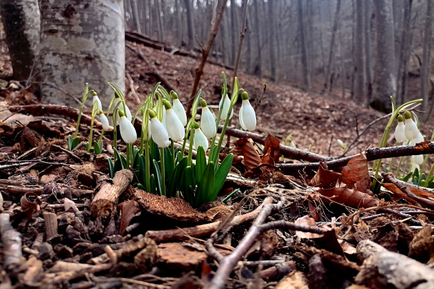 Молодежный клуб РГО "Крым" Молодежный клуб РГО "Крым"