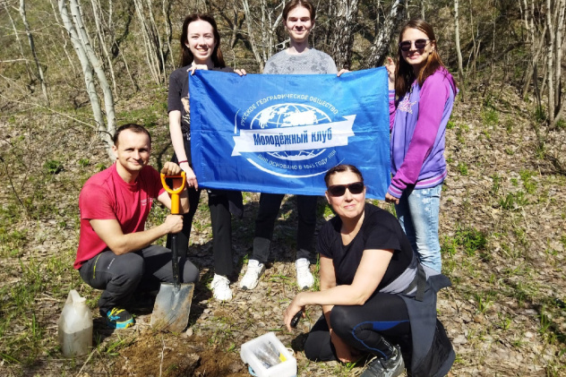 Посадка клёна ясенелистного Посадка клёна ясенелистного