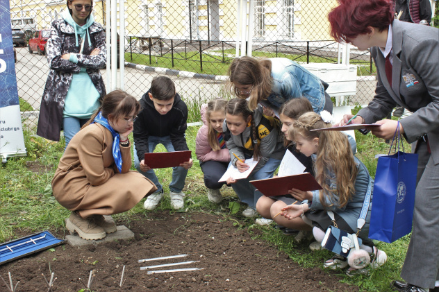 Измерение температуры почвы Измерение температуры почвы