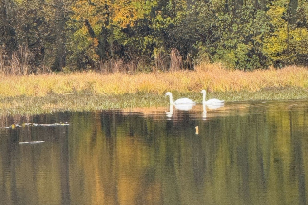 На Святовском озере 