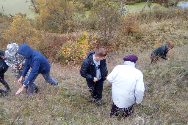 В зоне исследования В зоне исследования