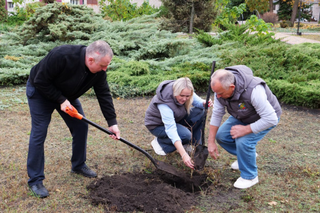 Реализация проекта "Семейный лес" Реализация проекта "Семейный лес"