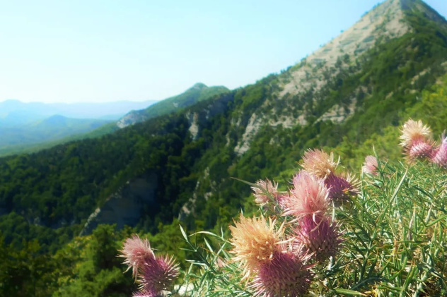 Гора Папай Гора Папай