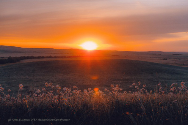 Игорь Быстров Игорь Быстров