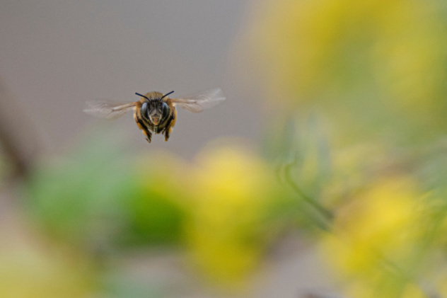 Артем Шумов, участник фотоконкурса РГО "Самая красивая страна" Артем Шумов, участник фотоконкурса РГО "Самая красивая страна"
