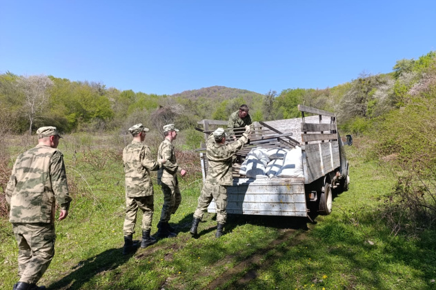 Могила неизвестного летчика