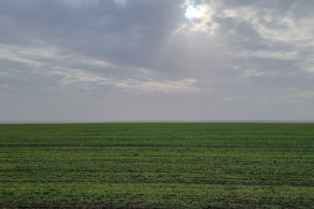 Предоставлено организаторами Предоставлено организаторами