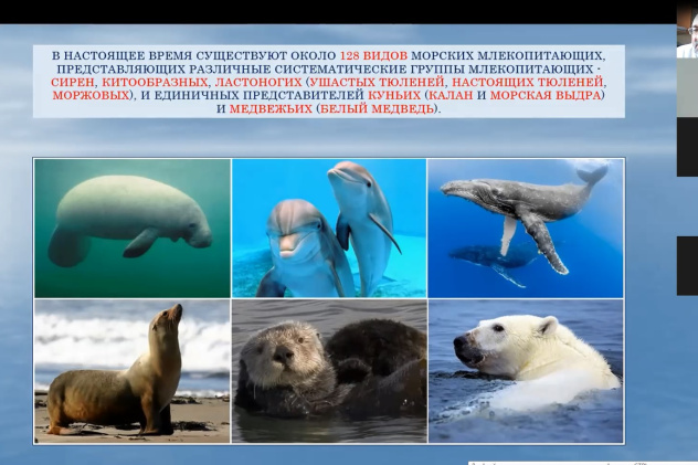 Молодёжный клуб РГО Молодёжный клуб РГО