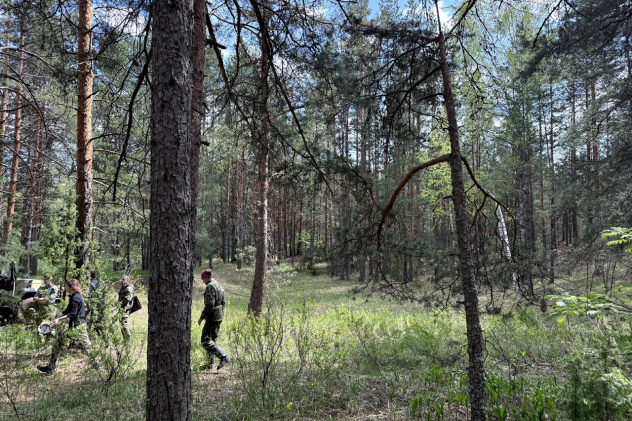 Выполнение описаний Выполнение описаний