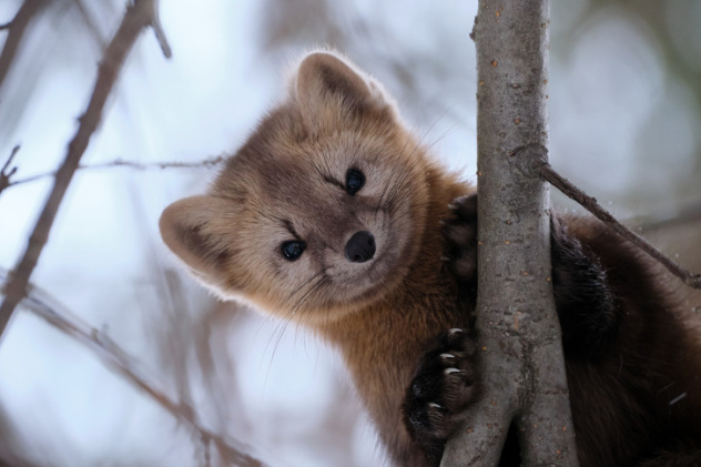 Алексей Багурский, участник фотоконкурса РГО "Самая красивая страна"