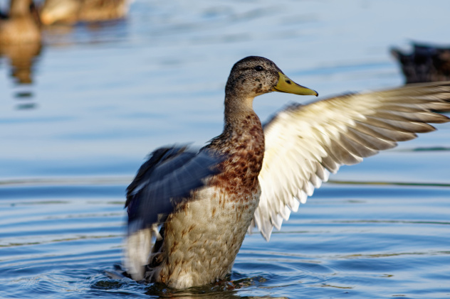 Екатерина Пивоварова, участница фотоконкурса РГО "Самая красивая страна" Екатерина Пивоварова, участница фотоконкурса РГО "Самая красивая страна"