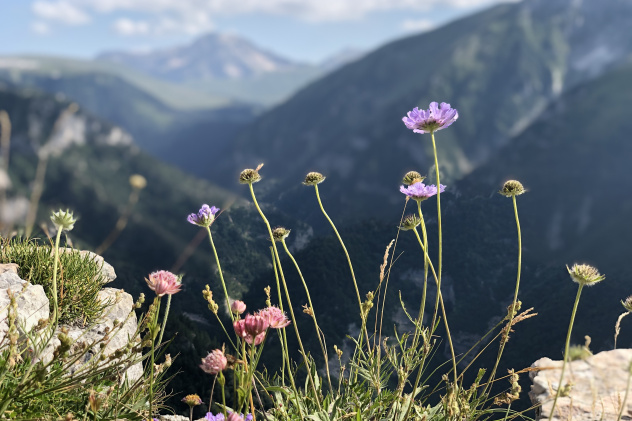Вера Блажко, активистка Молодежного клуба Апшеронского районного отделения КРО РГО «ЭКОСфера» Вера Блажко, активистка Молодежного клуба Апшеронского районного отделения КРО РГО «ЭКОСфера»