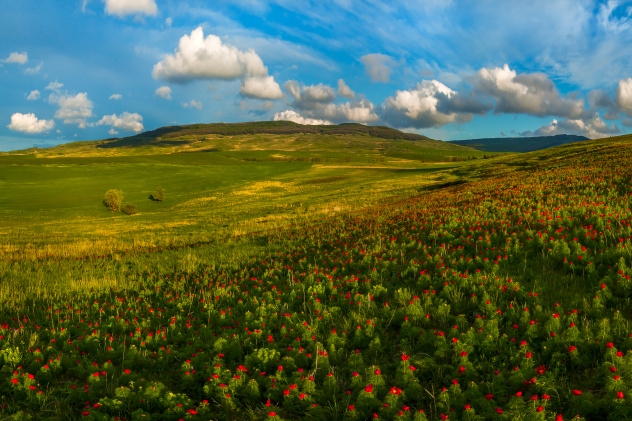 Федор Лашков