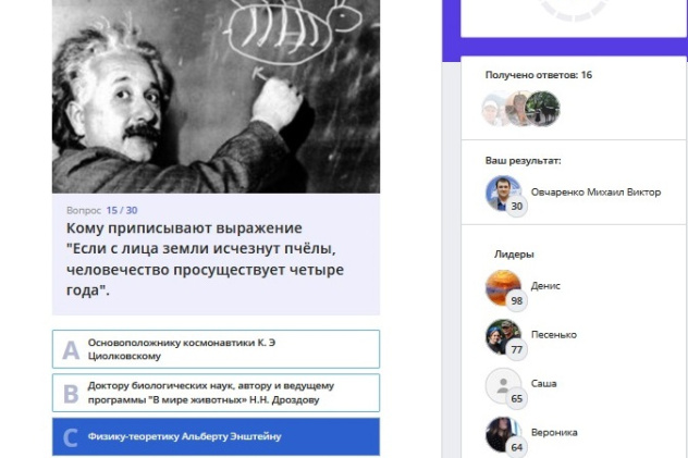 "Пчелиный калейдоскоп" "Пчелиный калейдоскоп"