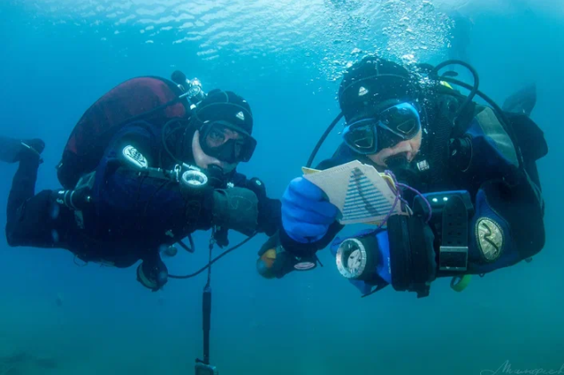 Елена Малафеева Елена Малафеева