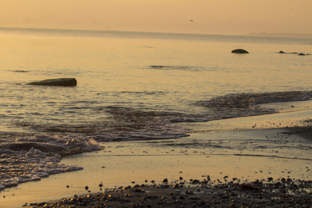 Филинская бухта в Калининградской области.