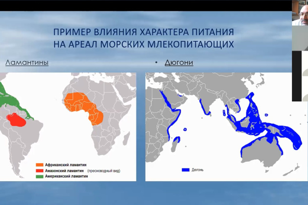 Молодёжный клуб РГО Молодёжный клуб РГО