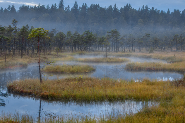 Александр Пашеничев, участник Фотоконкурса "Самая красивая страна"