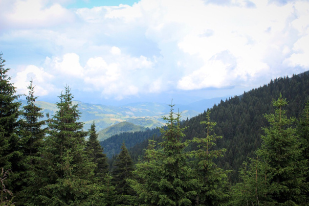 Ксения Гасица