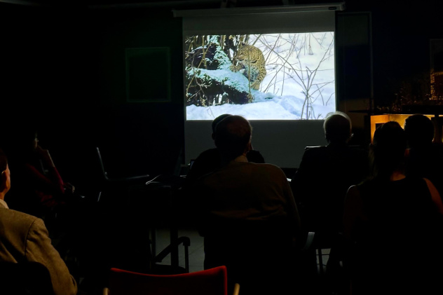 МК РГО "Австрия" МК РГО "Австрия"