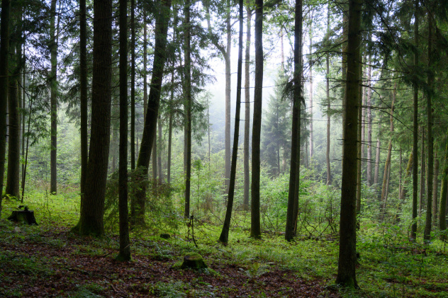 Евгений Кудряшов, участник фотоконкурса РГО "Самая красивая страна"