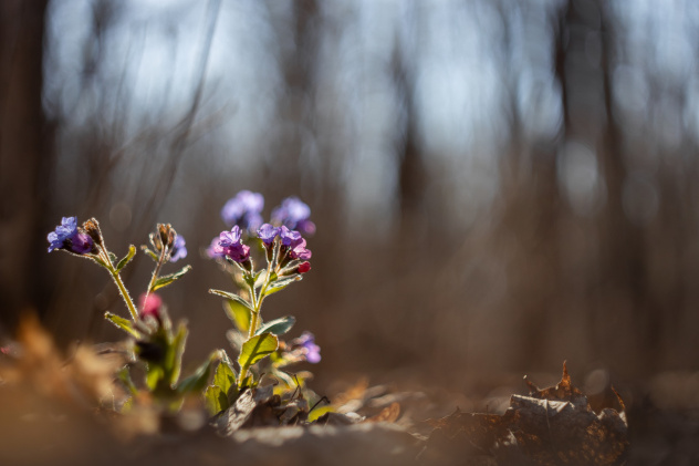 Дмитрий Кузнецов, участник фотоконкурса РГО "Самая красивая страна"